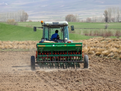 Hibe tohumlar toprakla buluşuyor