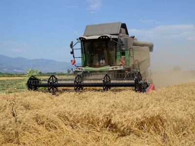 İncirliova’da biçerdöverler görev başında
