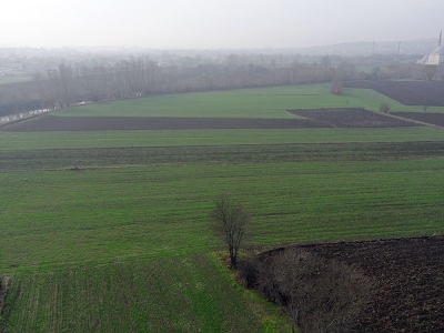 Trakya buğdayı kışa 