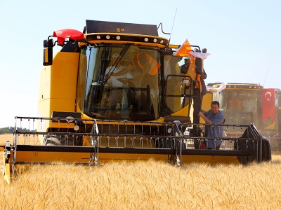 Buğdayın fiyatı açıklandı