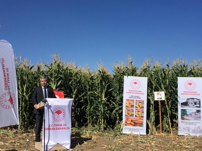 Yerli tohumlar Tefenni’de üreticiyle buluştu