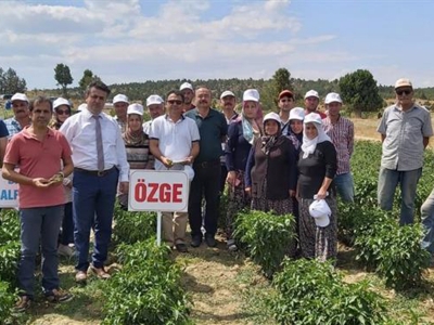 Aziziye Köyünde Tarla Günü Düzenlendi