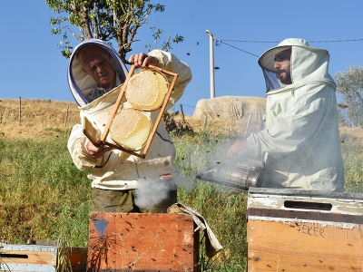 Hakkârili çiftçi kazancıyla her yıl 15 öğrenciye burs veriyor