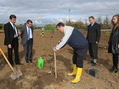 “İncir Çekirdeğini Dolduruyor Projesi” Hayata Geçiyor