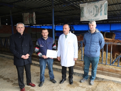 Hastalıktan ari işletme sayısı artıyor