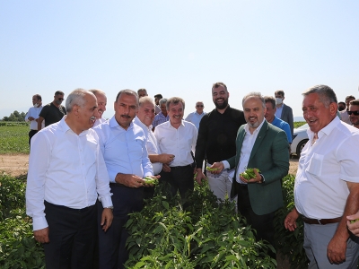Yenişehir’de biberler şenlikle hasat edildi