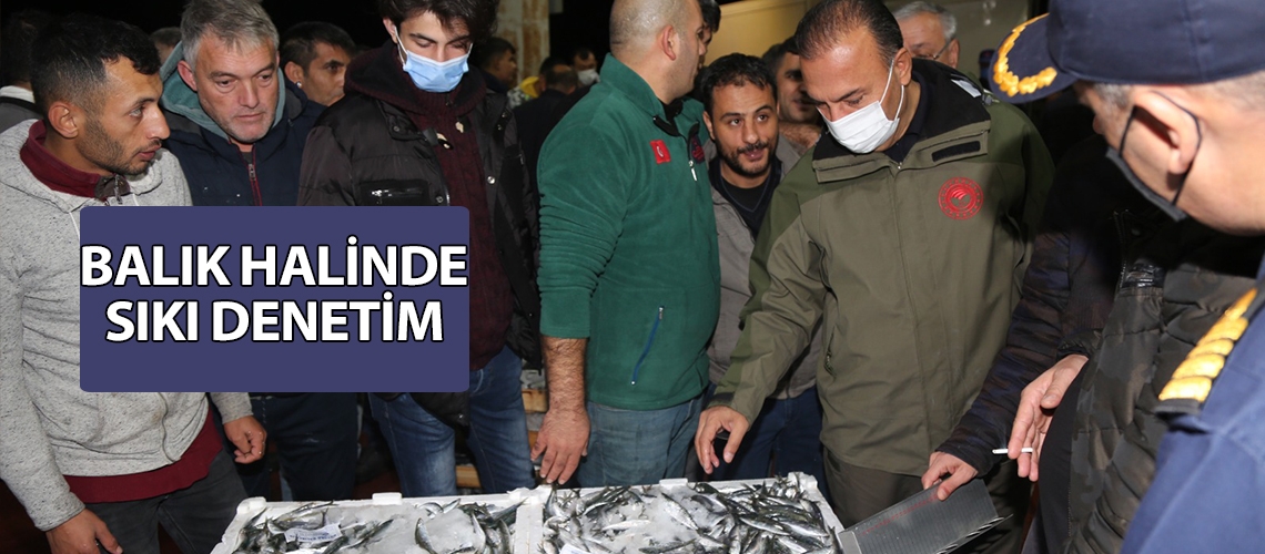 Balık halinde sıkı denetim
