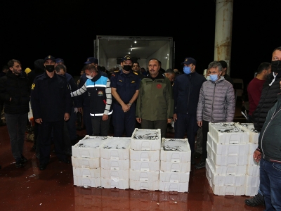 Balık halinde sıkı denetim