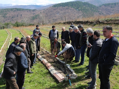 Yaban mersininde kalite için budama eğitimi