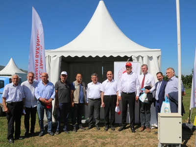 Salçalık domatesler fuarda sergilendi