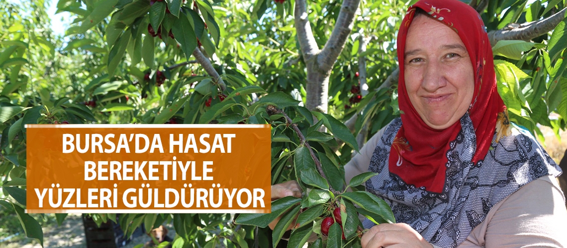 Bursa’da hasat bereketiyle yüzleri güldürüyor