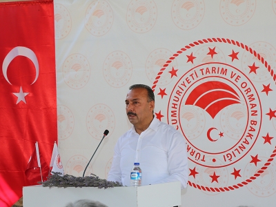 Bereketli Bursa’da hasat şenlikleri