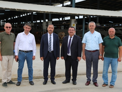 Bursa’nın yeni canlı hayvan pazarı hizmete girdi