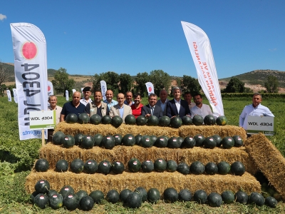 Bursa’da karpuz hasadı şenlikle başladı