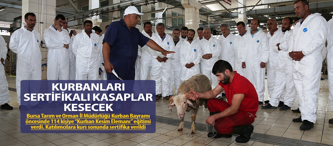 Kurbanları sertifikalı kasaplar kesecek