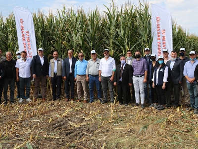 Silajlık mısırda bereketli hasat