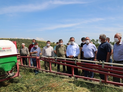 Bursa’da süne mücadelesi