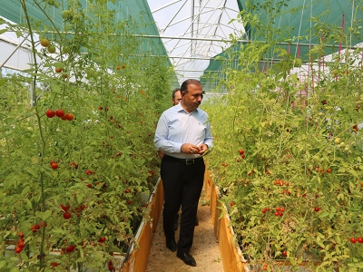 Bursa ‘ata tohumuna’ sahip çıkıyor