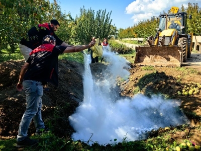 Bursa'da pestisite geçit yok