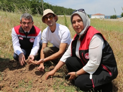 Projede dikilen salepler törenle hasat edildi