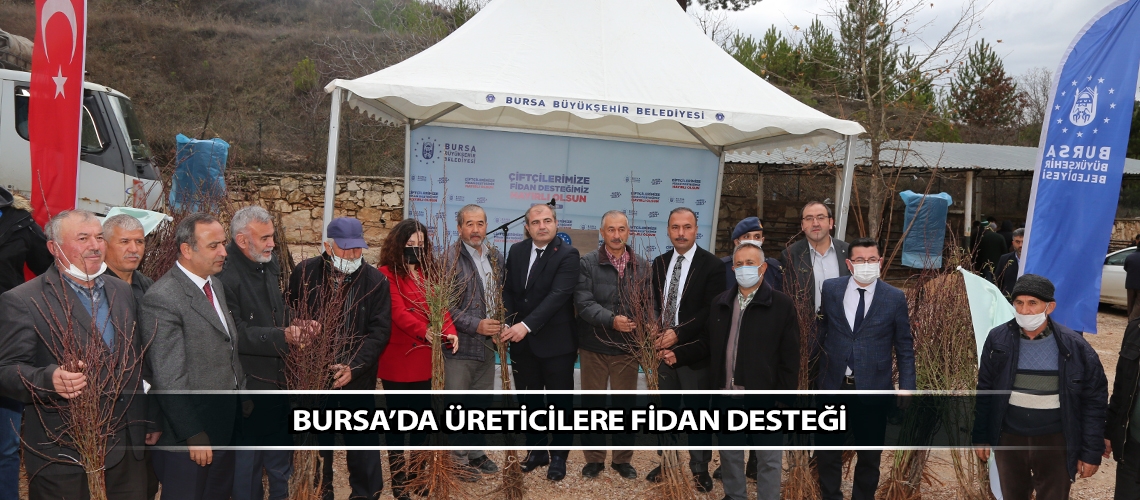 Bursa’da üreticilere fidan desteği