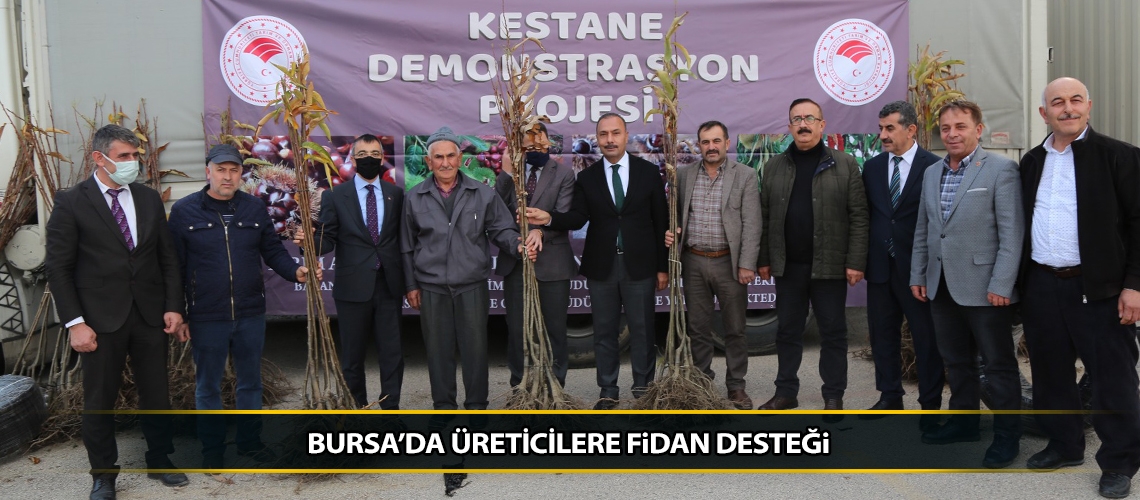 Bursa’da üreticilere fidan desteği