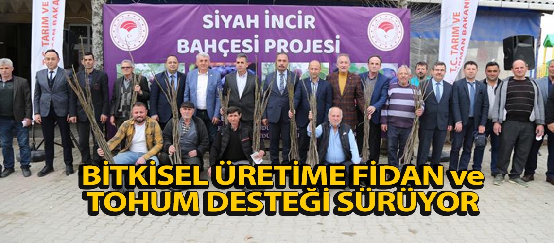 Bitkisel üretime fidan ve tohum desteği sürüyor