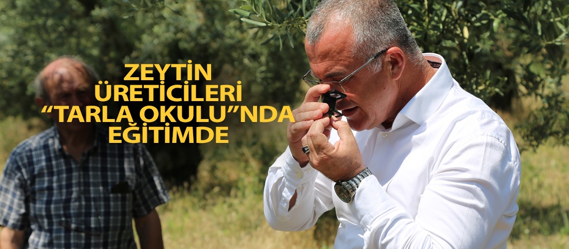 Zeytin üreticileri “Tarla Okulu”nda eğitimde