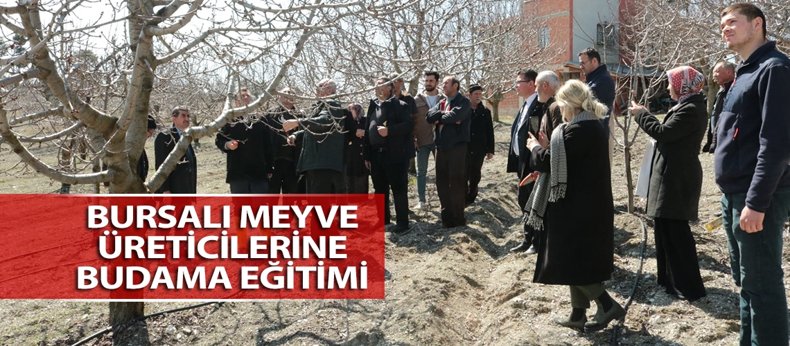 Bursalı meyve üreticilerine budama eğitimi