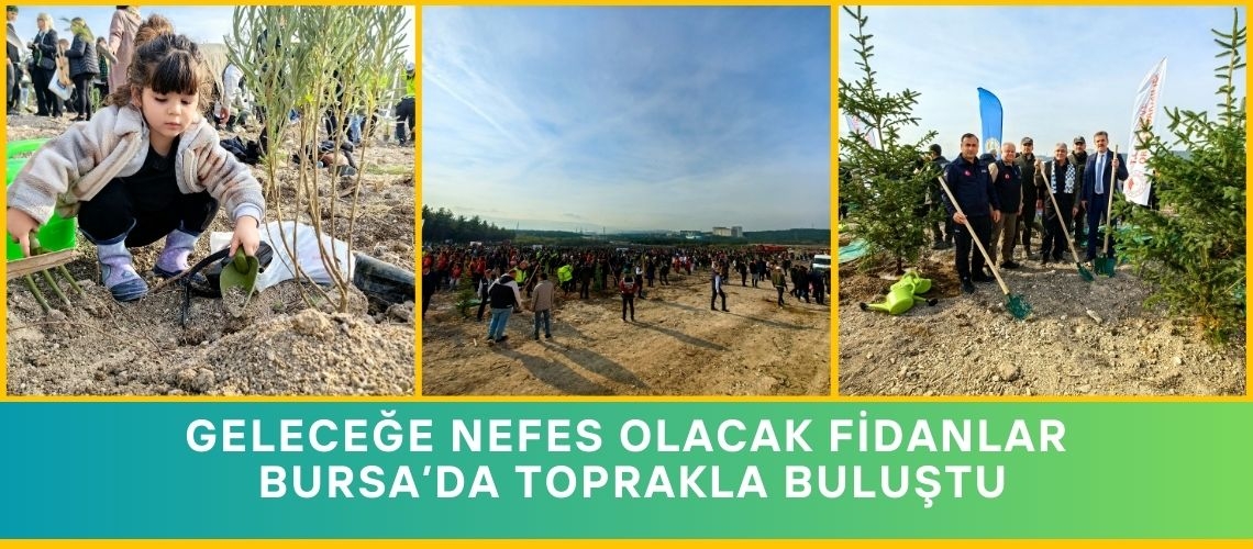 Geleceğe nefes olacak fidanlar Bursa’da toprakla buluştu
