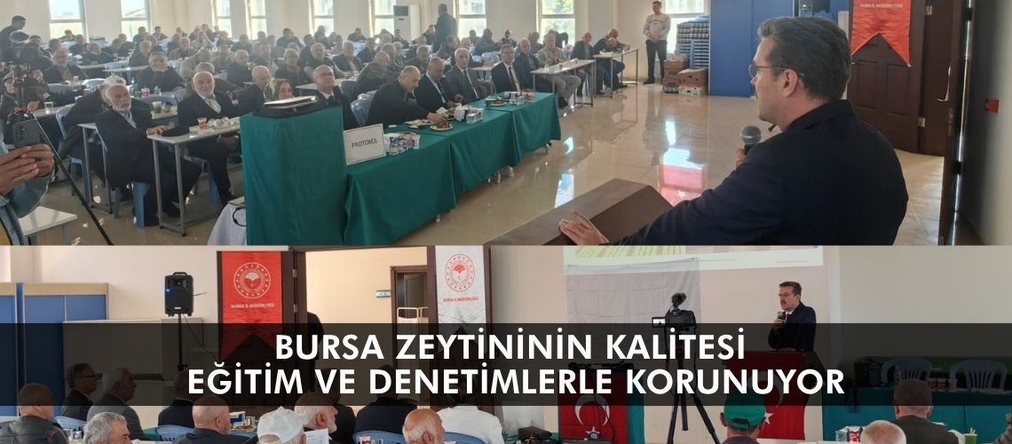 Bursa zeytininin kalitesi eğitim ve denetimlerle korunuyor
