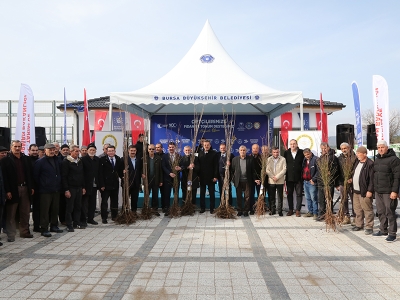 Bursa’da üreticilere fidan desteği