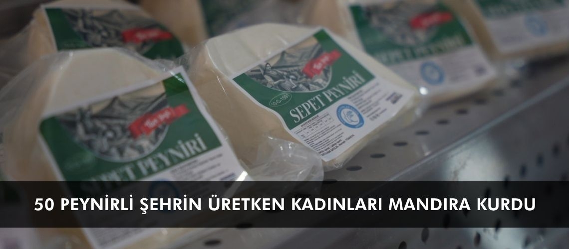 50 peynirli şehrin üretken kadınları mandıra kurdu