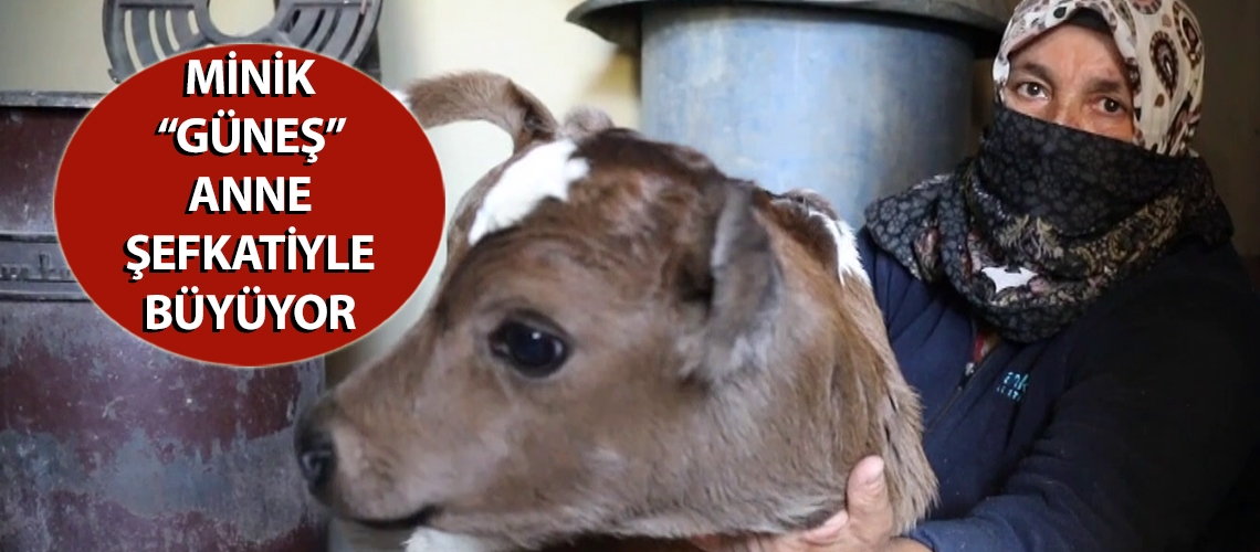 Minik “Güneş” anne şefkatiyle büyüyor
