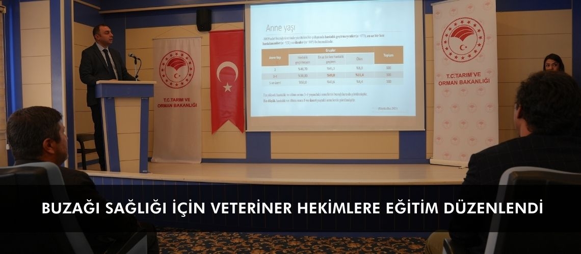 Buzağı sağlığı için veteriner hekimlere eğitim düzenlendi