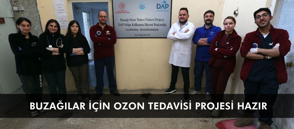 Buzağılar için ozon tedavisi projesi hazır