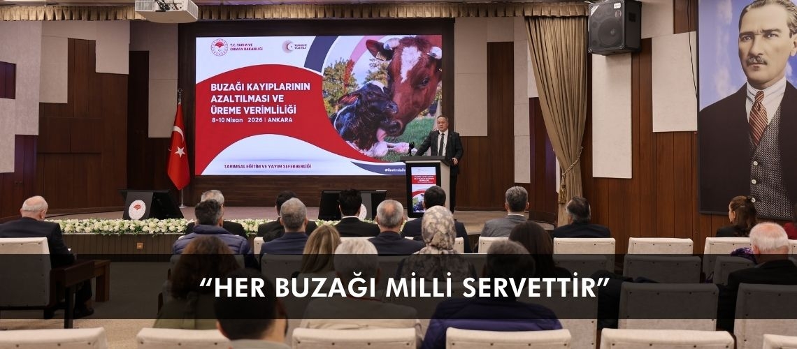 “Her buzağı milli servettir”