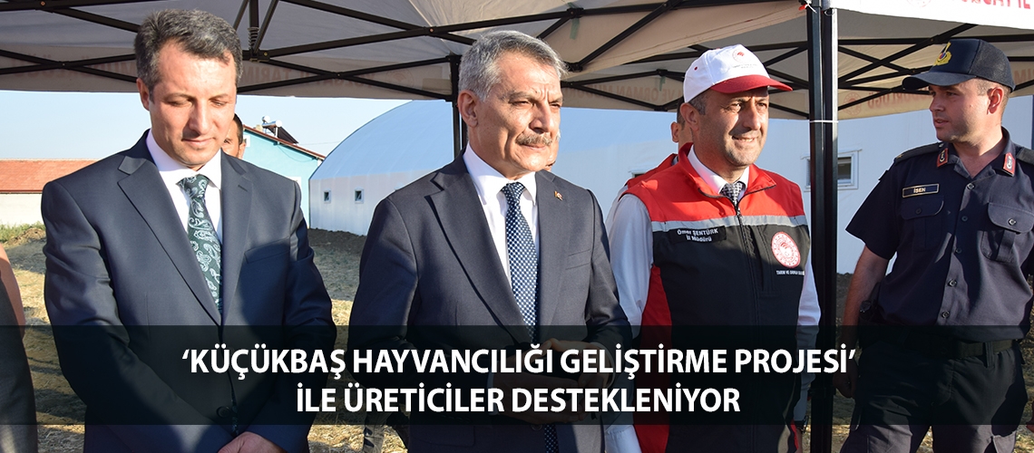 ‘Küçükbaş Hayvancılığı Geliştirme Projesi’ ile üreticiler destekleniyor