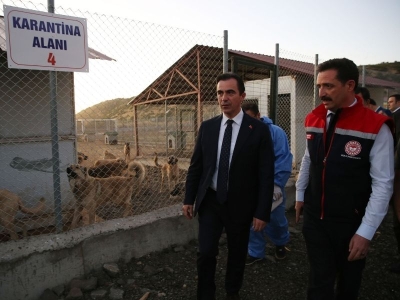 Bitlis’te ‘can dostlar’ için yaşam alanı kuruldu