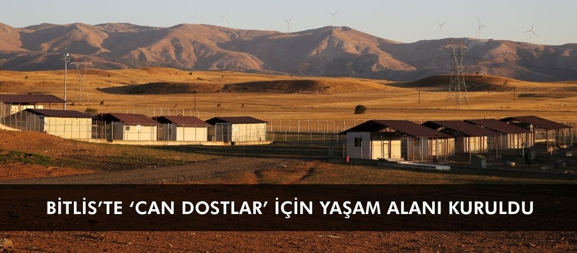 Bitlis’te ‘can dostlar’ için yaşam alanı kuruldu
