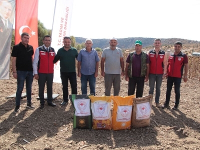 Ayçiçeği tarlaları yerli ve milli çeşitlerle bereketleniyor