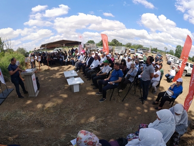 Çiftçiler “Kanola ekelim yağ olsun bal olsun” diyor