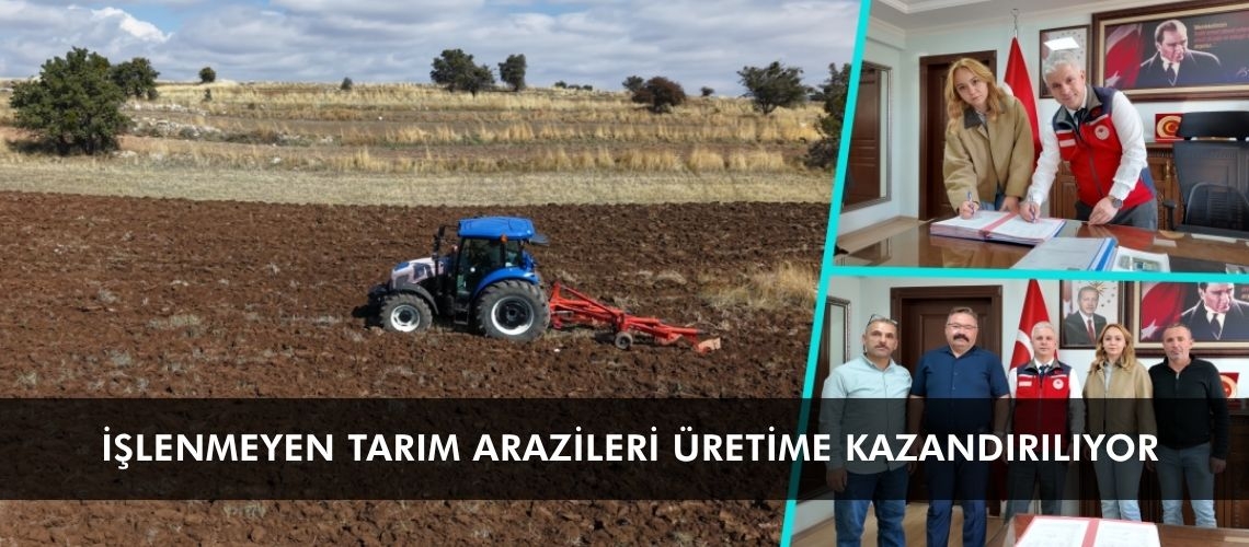 İşlenmeyen tarım arazileri üretime kazandırılıyor