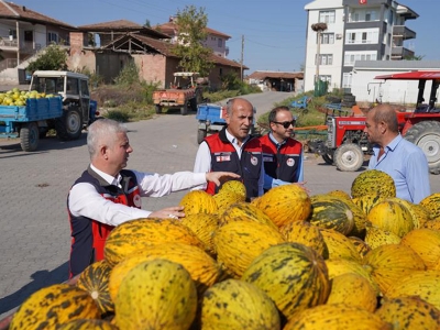 Kızılırmak’ta kavun bereketi yüz güldürüyor