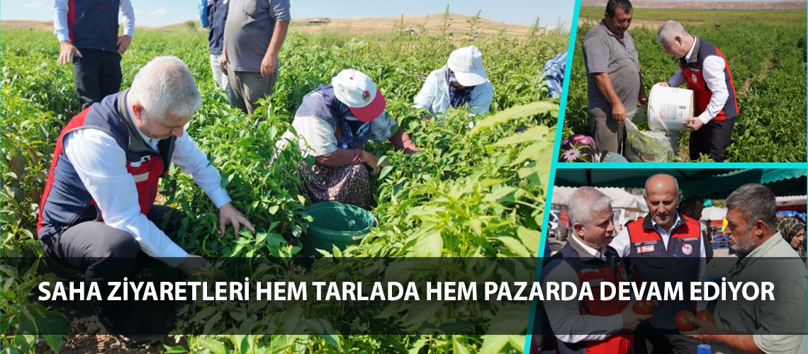 Saha ziyaretleri hem tarlada hem pazarda devam ediyor