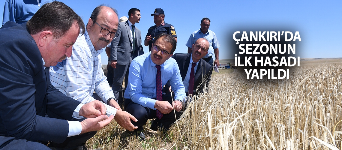 Çankırı’da sezonun ilk hasadı yapıldı