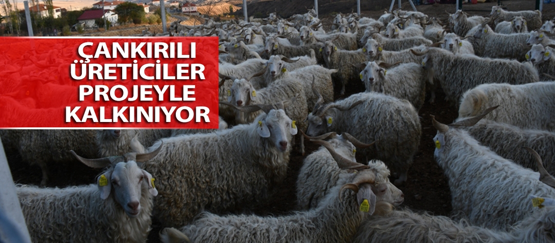 Çankırılı üreticiler projeyle kalkınıyor