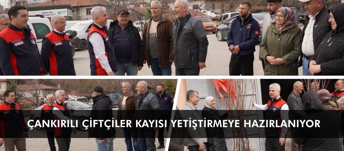 Çankırılı çiftçiler kayısı yetiştirmeye hazırlanıyor
