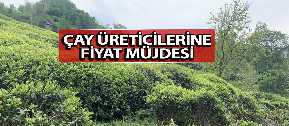 Çay üreticilerine fiyat müjdesi