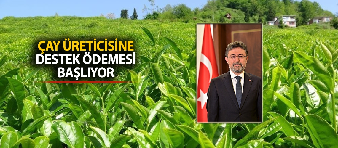 Çay üreticisine destek ödemesi başlıyor